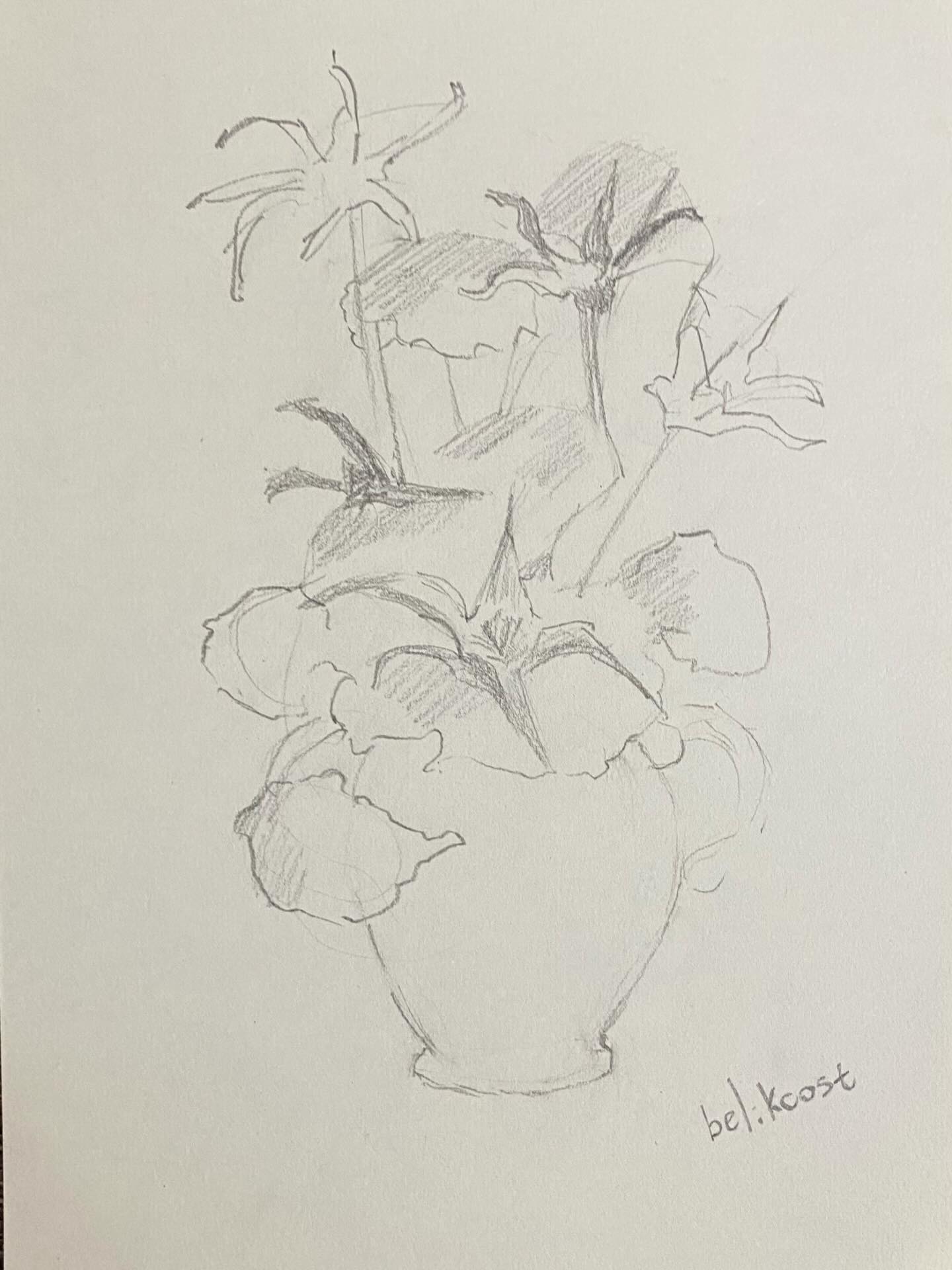 Some quick flowers sketches
